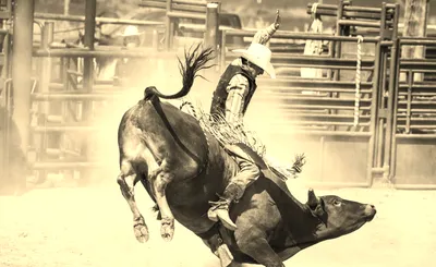 Coarsegold Rodeo