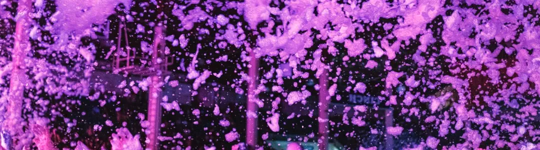 Foam Wonderland