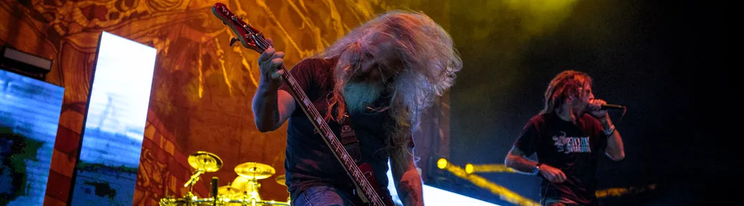 Lamb Of God