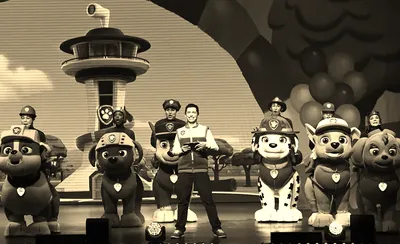 Paw Patrol Live