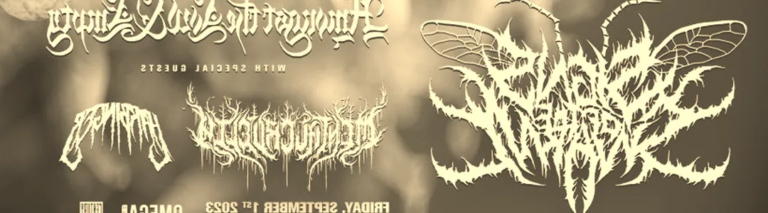 Signs of the Swarm