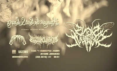 Signs of the Swarm