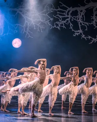 Swan Lake
